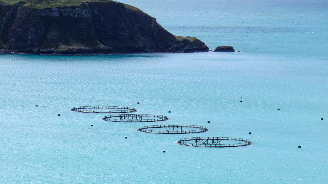 Consultancy firm’s review of fast-track salmon farm pilot branded “sham”