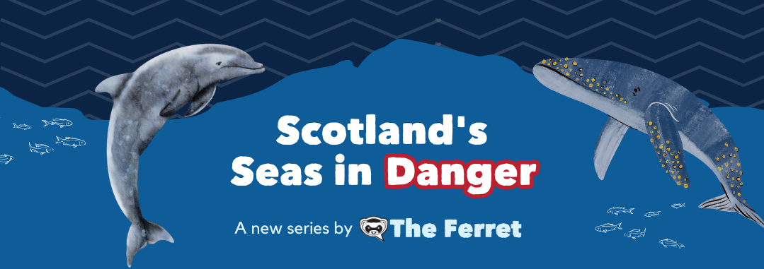 Scotland's seas in danger