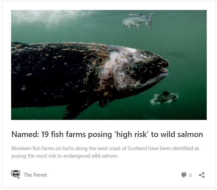 "Greenwashing" objections to farmed salmon name change dismissed