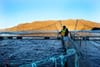 Article: Can a Norgwegian multinational allay locals’ fears over a Highland fish farm? Image description: The image shows a w