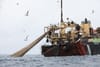 Article: Giant supertrawlers routinely fish in Scotland’s marine protected areas Image description: The Helen Mary super traw