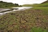 Drought conditions in the Pentlands