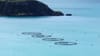 Article headline: Consultancy firm's review of fast-track salmon farm pilot branded "sham" Image description: View of the nat