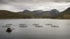 A salmon fish farm in Loch Ainort on the Isle of Skye in the Highlands of Scotland. Foothills of the Cuillin Mountains form t