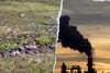 ‘Greenwashing territory’: Tree-planting Abrdn boosts investments in US fossil fuel firms