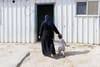 A woman wearing a niqab walks with a toddler.