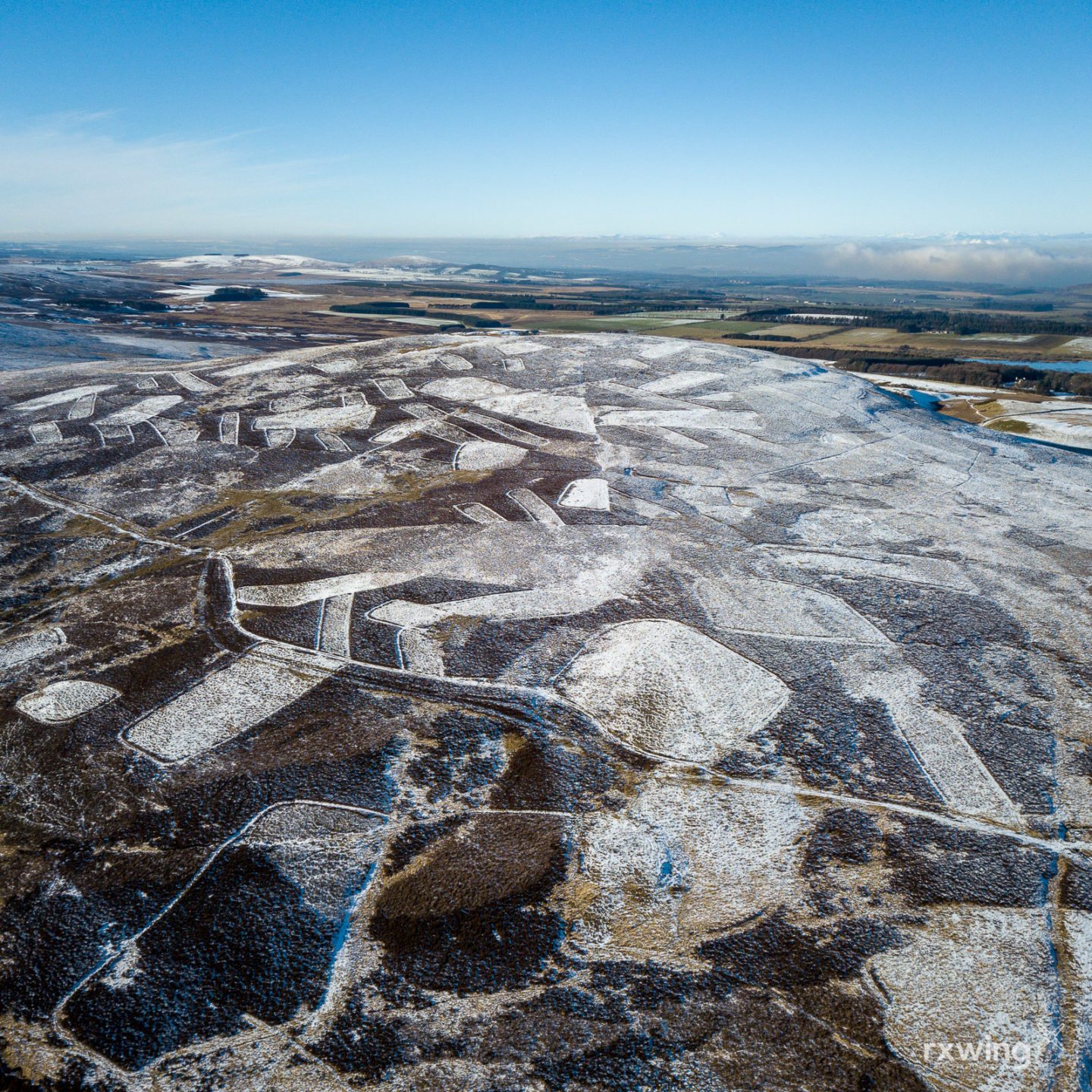 Deer are damaging hundreds of protected areas across Scotland. Experts can't agree how to stop them